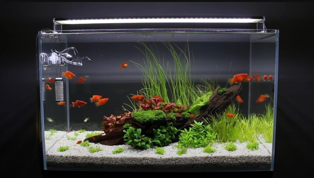 How Is LED Light Beneficial for Aquarium Planting?